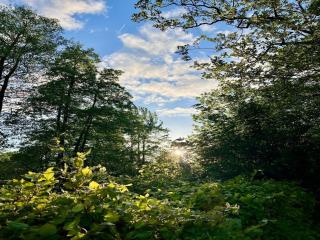 4 Large greenhouses in combination with a beautiful group space for the ultimate get-together - 2