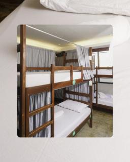 Teofel Hostel by Hiverooms - 7
