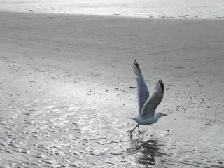 Cozy Apartment in Belgium with Parking - 3