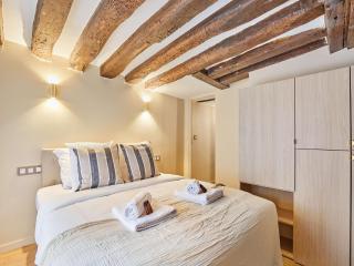 Amazing apartment in Center of Paris - 6