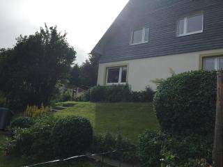 Krinkelt Villa with Spa - 4