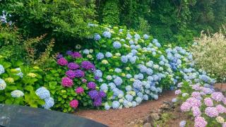 Jeju ChunJaNe Pension - 7