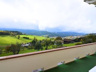 Villa in Bayern nahe Skiloipen & Sauna - Lam - 8