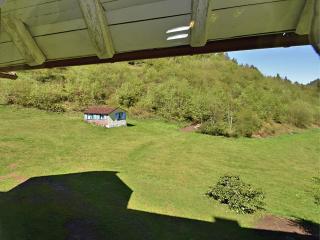 Forest Family Stay, Triberg - 2