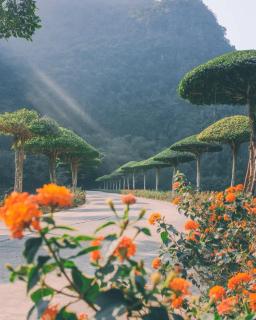 Thắng Thủy Tam Cốc Homestay - Ninh Bình - 9