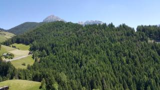Gasthof La Pli Apartments - 4