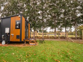 Gold Nugget 1 by Tiny Away - 9