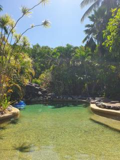 Cascades! 2 bedroom apartment close to town! - Port Douglas - 0
