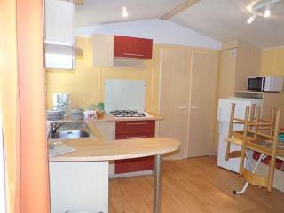 Mobil home pour 6 personnes avec terrasse - API-1-52-475 - La Cassagne - 6
