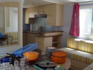 Mobil home pour 6 personnes avec terrasse - API-1-52-475 - La Cassagne - 5