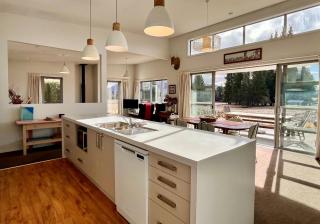 Silver Tussock - Lake Tekapo - 4