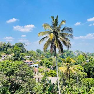 New Dandelion guest house - Kandy - 2