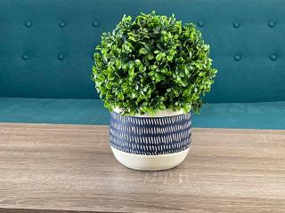 One Bedroom - Near Unm, Nob Hill And Downtown - 6