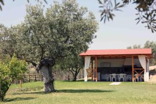 Panorama Dream Studios B - Vourvourou - 1