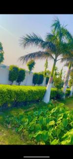 Malik farm house - 6