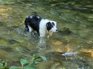 Gapyeong Full Room Detached Pension - 5