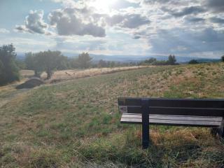 La P'tite Créole - 8