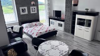 Balkon z Widokiem na Tatry - Tatra Horizon Apartmenty - 8