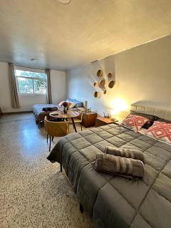 Best location in Oaxaca - Città di Oaxaca - 6