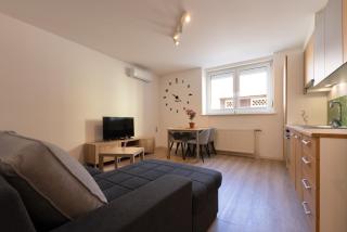 Apartma Seničica - 8
