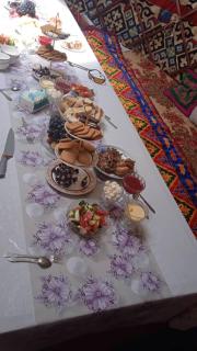 Elmar Yurt Camp Altyn Arashan - 6