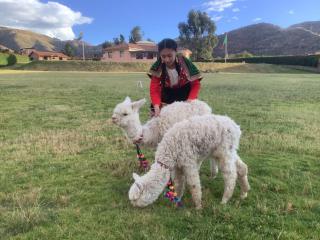 Villa Arcadia - Cusco - 9