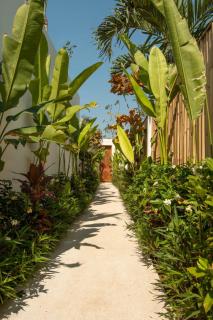 Di Cappio Studio Uluwatu - 5