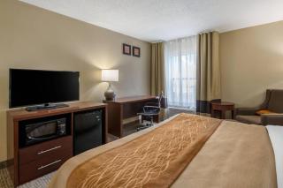 Comfort Inn Walcott near Davenport - 2