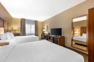 Comfort Inn I-20 Midland Stanton - 2