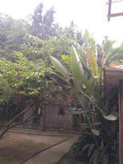 Greenlife country resort - 5