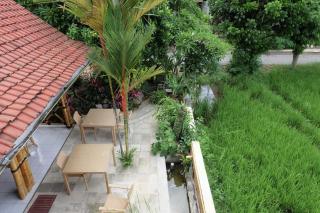 The Studio at Warung Bambu Pemaron - Singaraja - 3