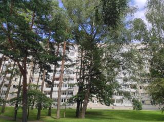 Flowery apartment - Jūrmala - 5