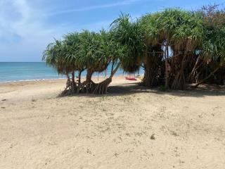 Pigeon Island Beach View Villa - Nilaveli - 5