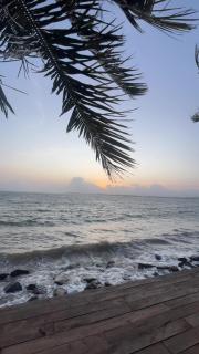 Tides Mirissa Beach Hostel - Mirissa - 9