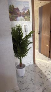 Spacious apartment in Martil center - 5