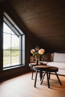 Cabin with jacuzzi on Lifjell - Lifjell - 4