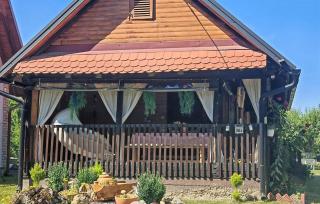Cozy Home In Stari Brod With Sauna - Stari Brod - 0
