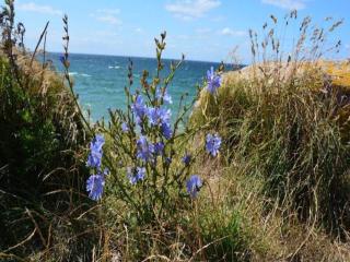 3 person holiday home in Ærøskøbing - 3