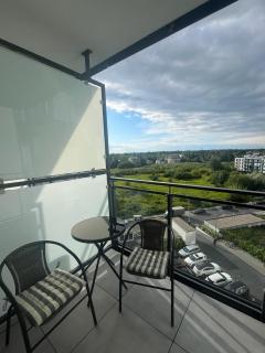 COZY WARSAW APARTMENT with GYM close to the Airport and City Centre - Warsaw - 2