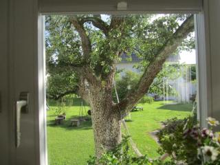 Apartment Am Apfelbaum - 6
