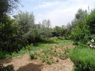 Villa ferme amzmiz - Amizmiz - 3