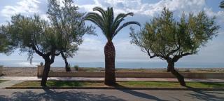 Gran apartamento en el Grau de Moncofa 3 linea de playa - 5