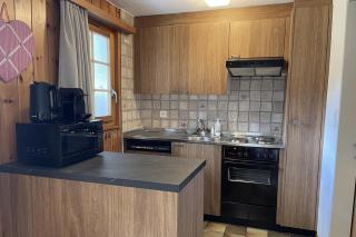 Chalet Woodland - Ferienwohnung mit Terrasse - Ritzingen - 1