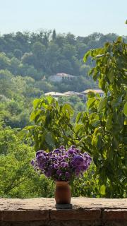 Mate Guesthouse - Sighnaghi - 3