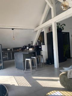 Appartement atypique lumineux - Sélestat - 7