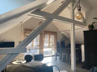Appartement atypique lumineux - Sélestat - 8