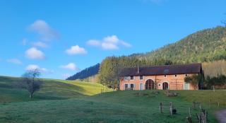 Gîte Les Vieux Champs à Moussey, Vosges - 4 personnes, vue nature et tout confort - 8