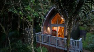 Onetangi Forest Chalet - - 0