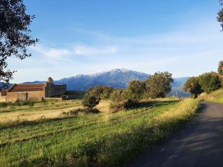 Chez Louise - 1