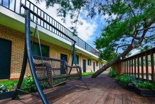 Forest 323 Pension Newly Opened in 2024 - 6